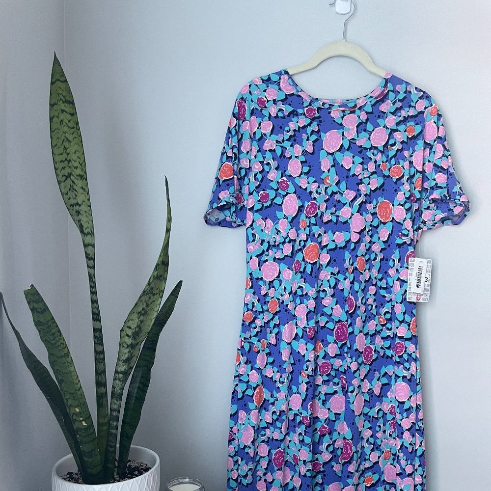 LuLaRoe Maria dress NWT